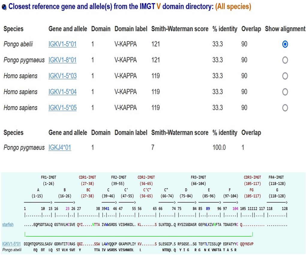 Figure 1: IMGT/DomainGapAlign version: 4.10.3 (2021- 12-06).