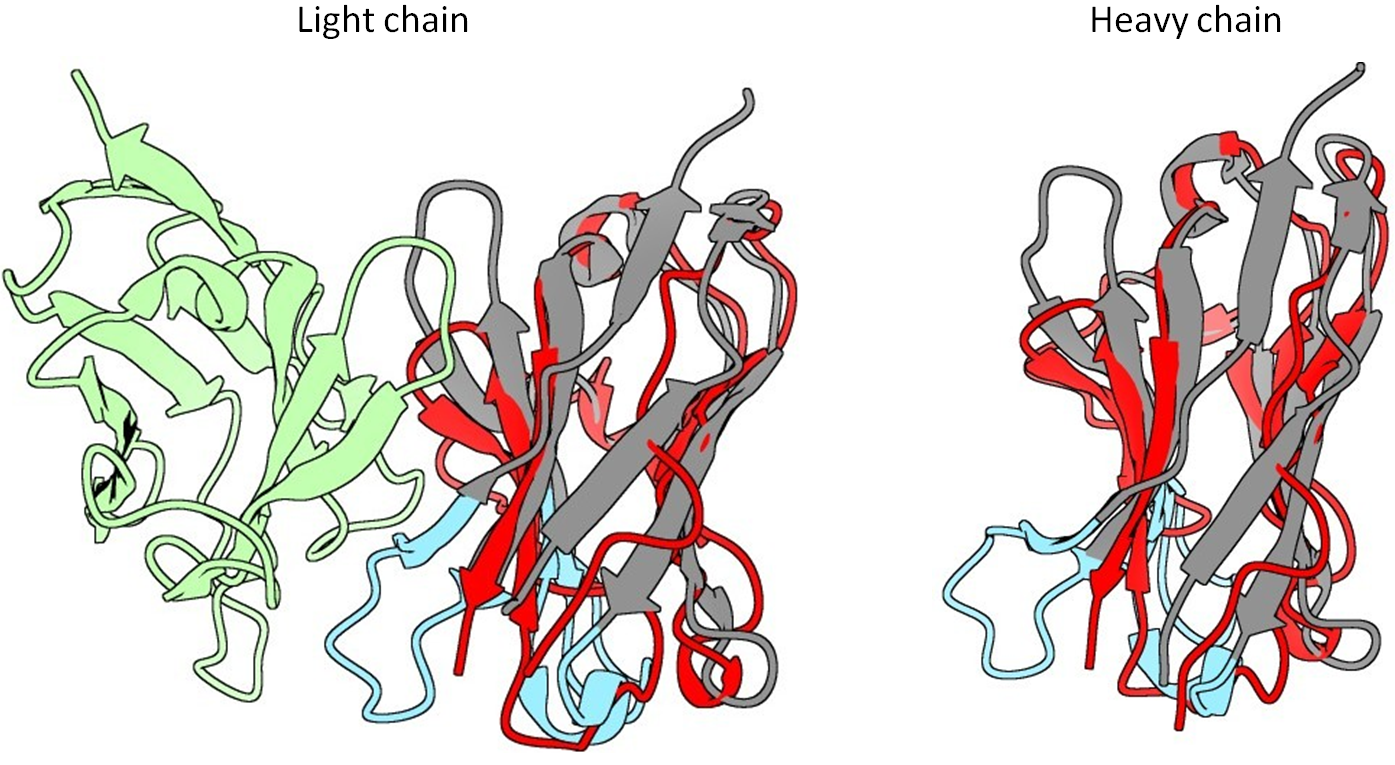 Figure 12: Superpose of AlphaFold prediction and X-ray structure of a Fab (4HDI).