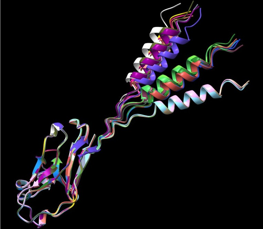 Figure 4: AlphaFold.