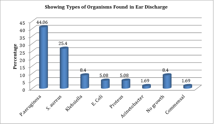 Figure 3: Showing the Distribution of Patients According to Age and Type of CSOM.