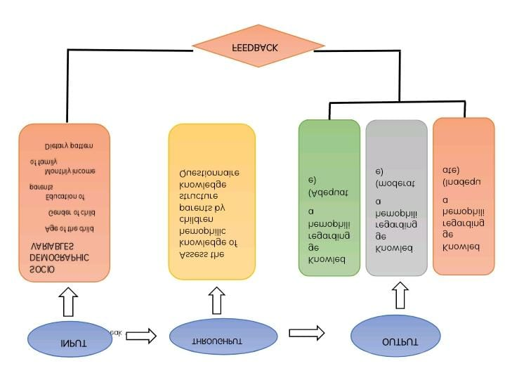 Figure 1: Conceptual Framework on General System Model.