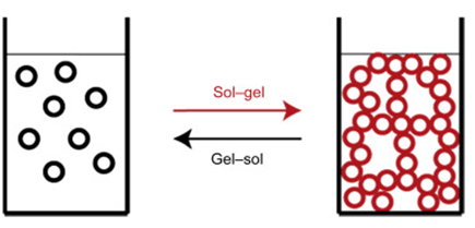 Figure 48: Gel.