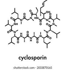 Figure 49: Cyclosporine.