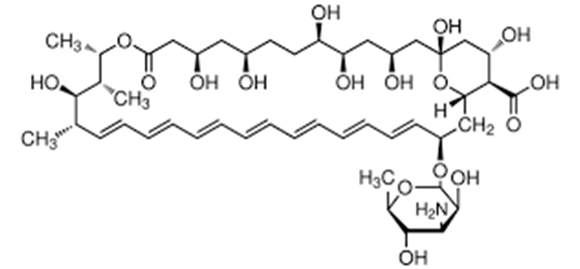 Figure 50: Amphotericin B.