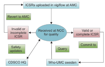 Figure 1: Work flow of ICSR at regional, national, and international levels.