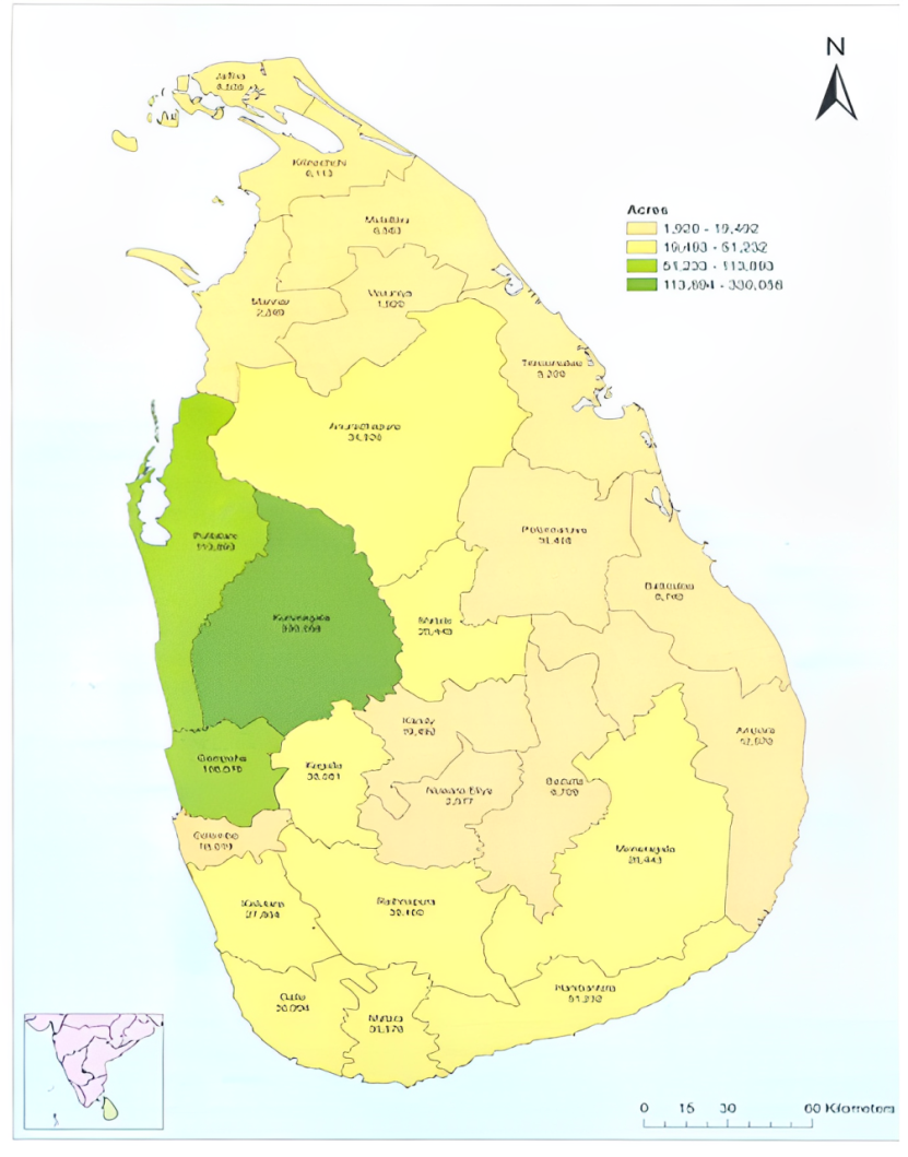 Figure 1: Land under coconut cultivation in Sri Lanka (2002). Source: Department of Census and Statistics (2002)
