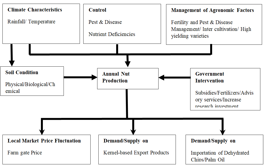 Figure 2: ### The Conceptual Framework