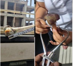 Figure 1: Essential Tools Such as Pens, Paper, a Measuring Tape, a Scale, and a Camera were Prepared to Record Measurements.
