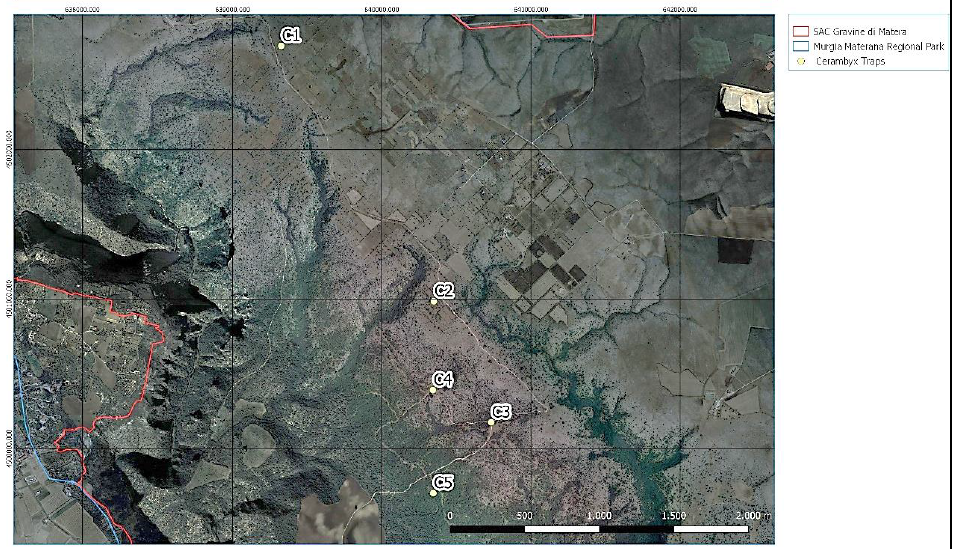 Figure 2: Maps of installed traps in “Bosco del Comune”.