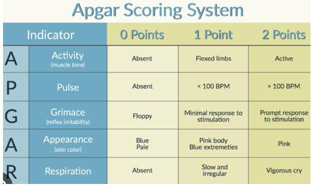 Figure 3: Apgar score.