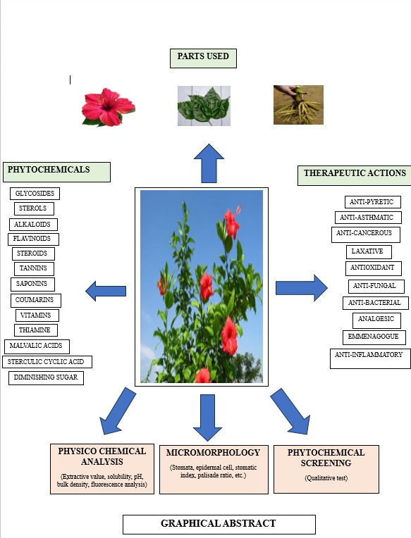 Figure 3: Graphical Abstract.
