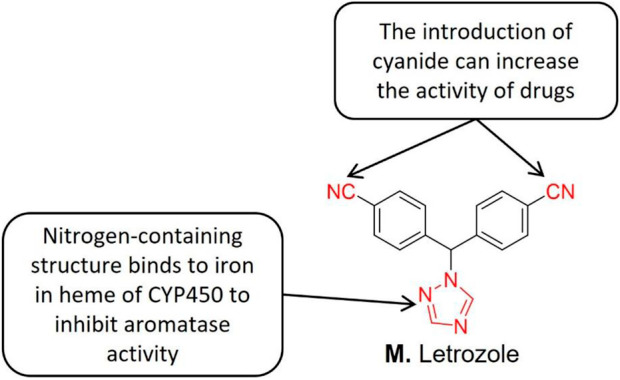 Figure 10: Courtesy ref no-Structure-activity relationship of Letrozole [23].