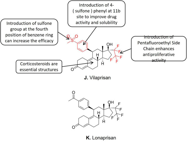 Figure 12: Courtesy ref no-23-Structure-activity relationship of Vilaprisan & Lonaprisan.