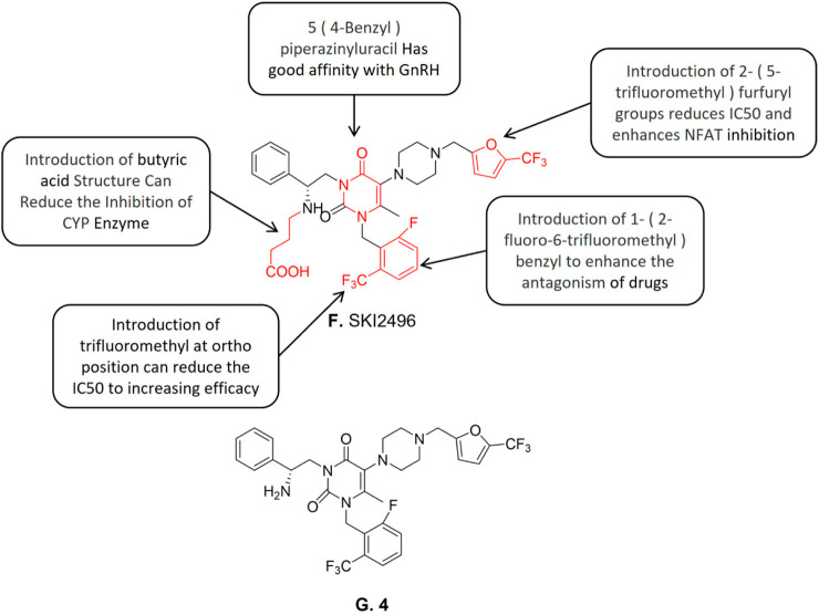 Figure 8: Courtesy ref no-Structure-activity relationship of SK12496and structure of 4 [23].