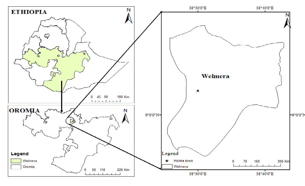 Figure 1: It is about 2400 meters above sea level. With a bimodal distribution, the region receives a mean annual rainfall of 1100 mm, with 70% falling during the rainy season from June to September and the remaining 20% falling during the minor wet season from February to April. The annual temperature is 11 to 22°C with a relative humidity of 50.4%. The town has eight kebeles (the smallest administrative unit). Based on data from Holeta town administration, the total human population is about 36,705 [28].