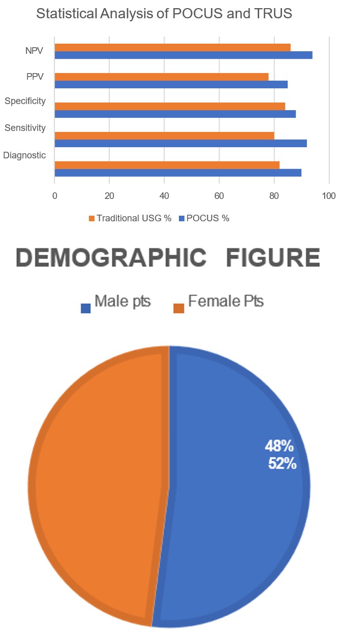 Figure 1: Demographic Figure.