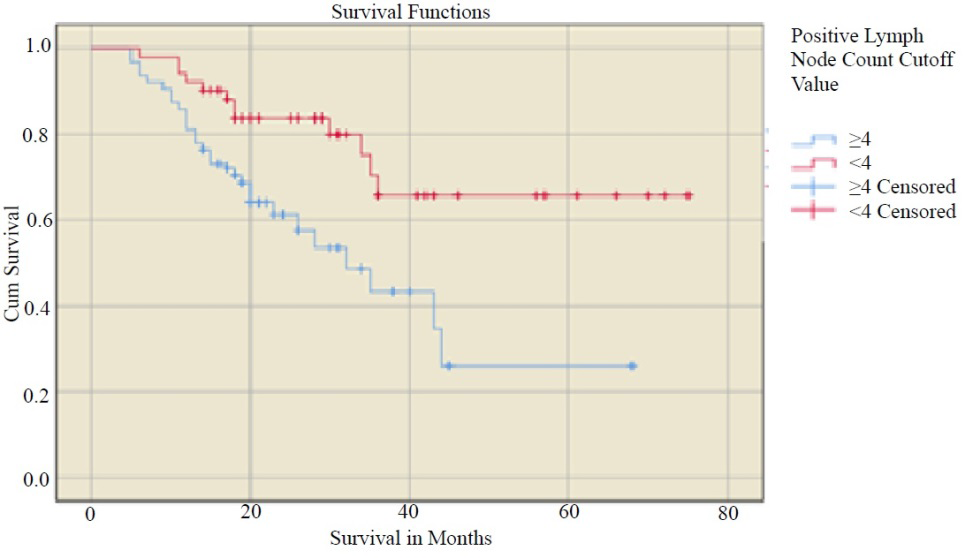 Figure 3: Kaplan- Meier curve of overall survival in relation to the PLN subgroup (p=0.000).