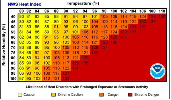 Figure 10: Protection from sun.