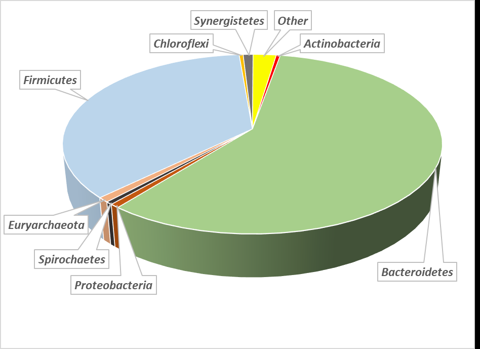Figure 1: Biodiversity in an anaerobic digester at AD for biomethane production at 35°C - main phyla relative share.