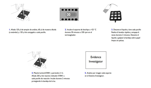 Figure 4: Chemiluminescence Immunoassay Analysis Protocol in Blood Samples.