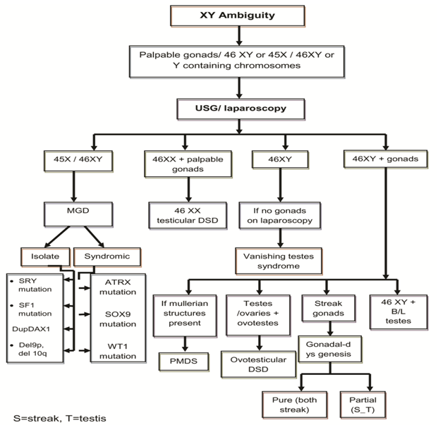 Figure 1: Approach to XY DSD.