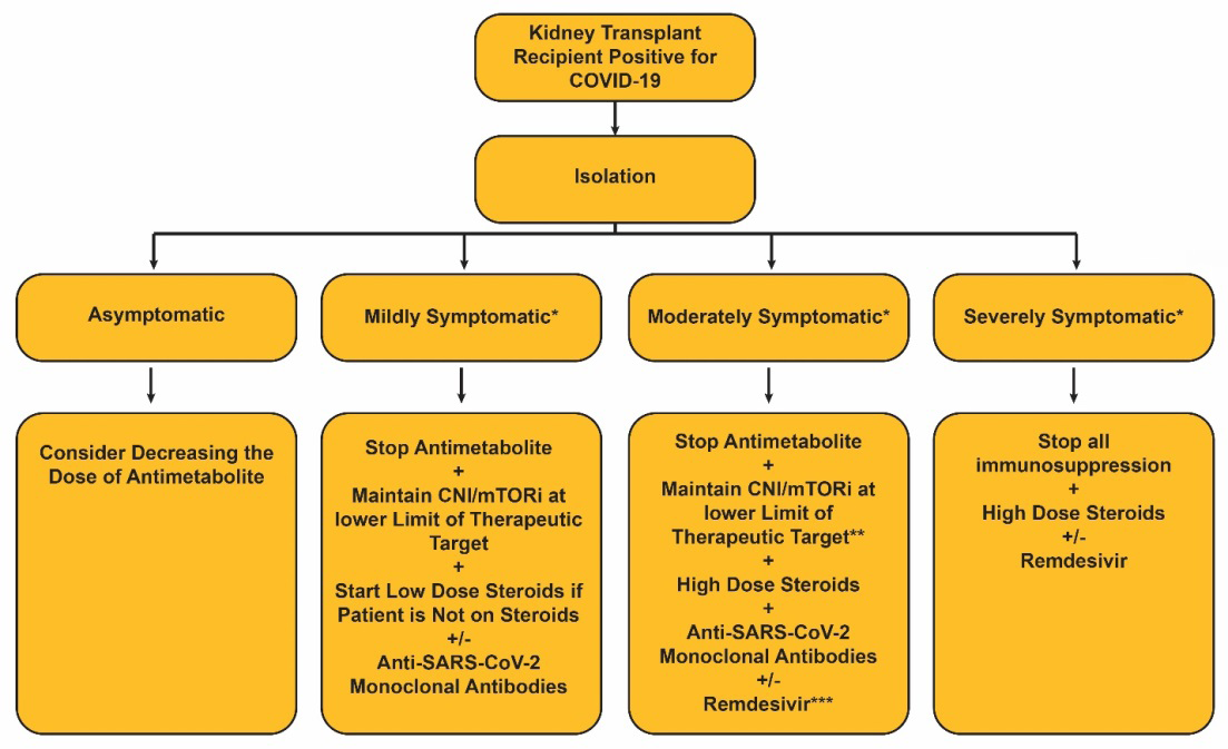 Figure 3: Algorithm for the management of the COVID-19-positive kidney transplant recipient [48].