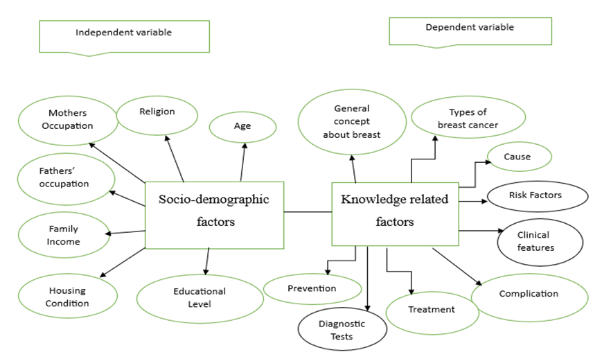 Figure 1: Level of knowledge regarding about breast cancer.