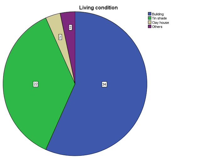 Figure 10: Distribution of respondents by Living Condition.