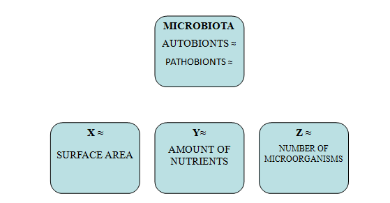 Figure 1: Eubiosis.
