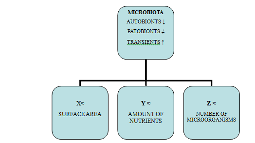 Figure 3: Relative stabilization.