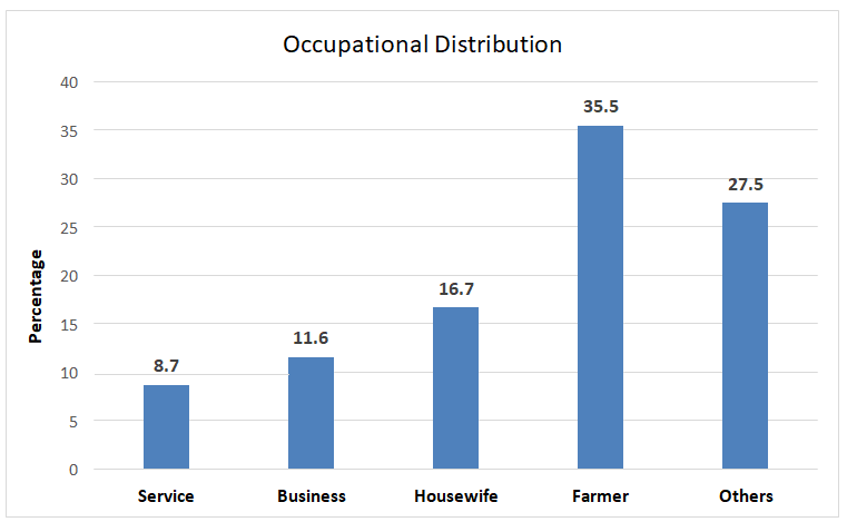 Figure 2: Distribution of the study subjects according to occupation (n=138).
