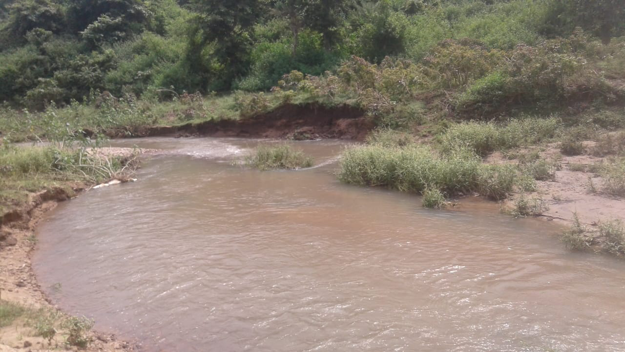 Figure 2: Girija Bag area (site-2).