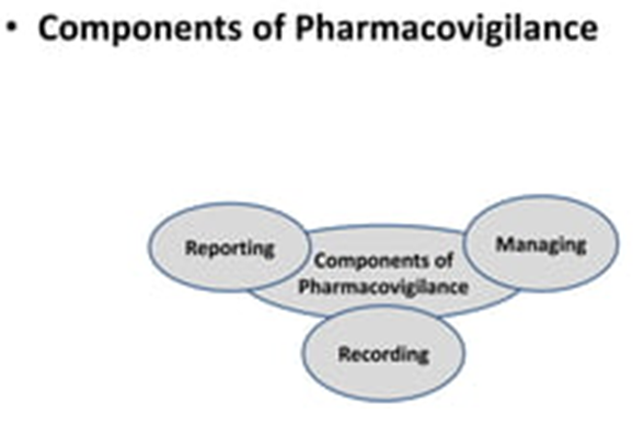 Figure 1: Key components of Pharmacovigilance.