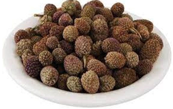 Figure 2: Fruits of Sphaeranthus indicus Linn.