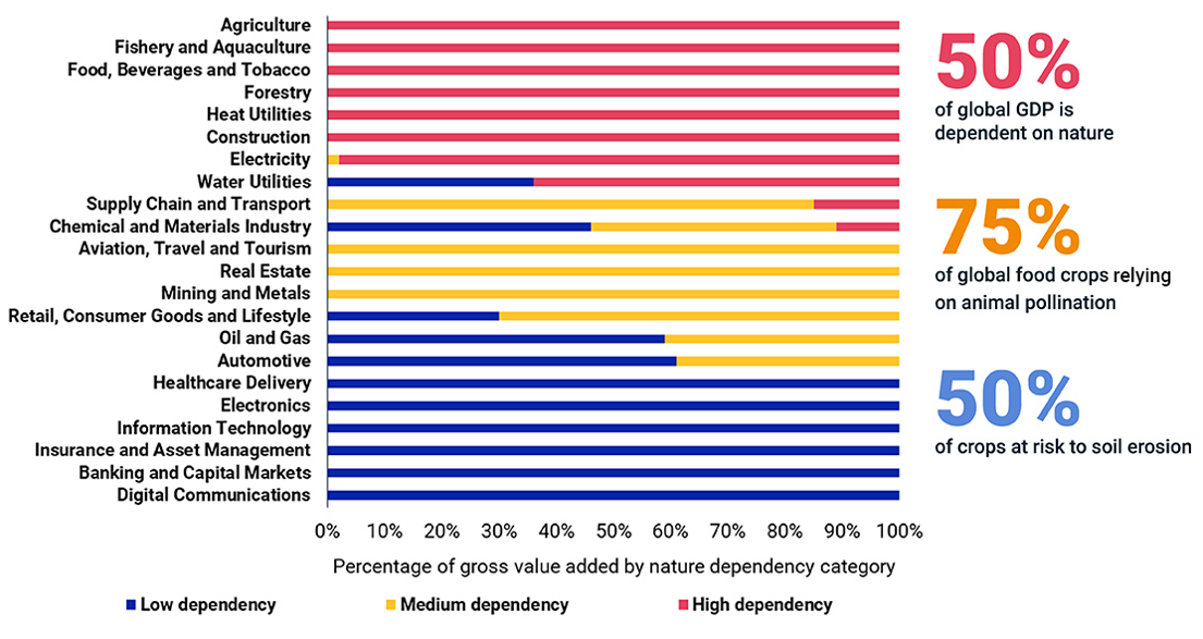 Figure 6: Sectoral Dependencies on Biodiversity [5].