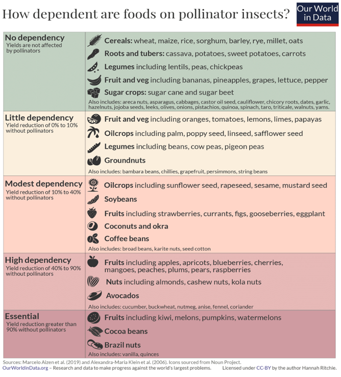 Figure 7: How Dependent Are Foods on Pollinator Insects? [64].