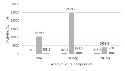 Figure 2: DNase and RNase activity in the serum before (first bars) and right after (second bars) or two hours later (third bars) the nuclease injection into the mice.