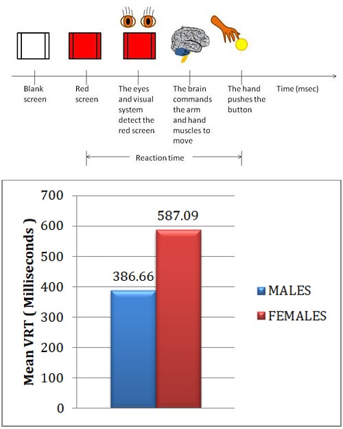 Figure 1: Schematic Representation of Stimulus to Response.