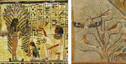 Figure 4: _Acacia nilotica_ paintings on tombs wall.