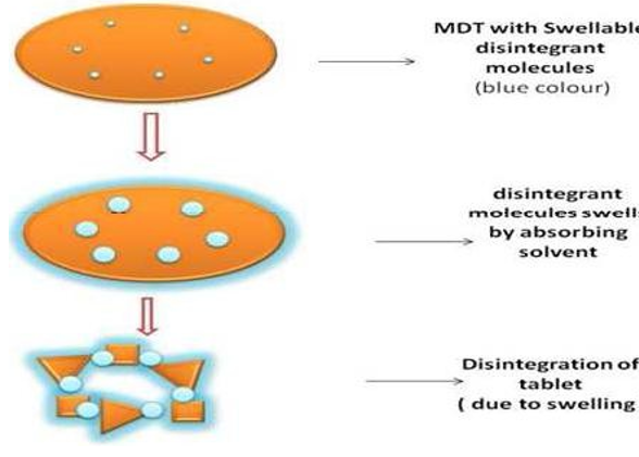 Figure 1: Symantec diagram of MDTs.