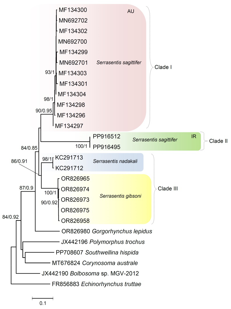 Figure 4