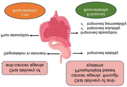 Figure 2: Enhancement in oral absorption through phospholipid-based drug delivery.