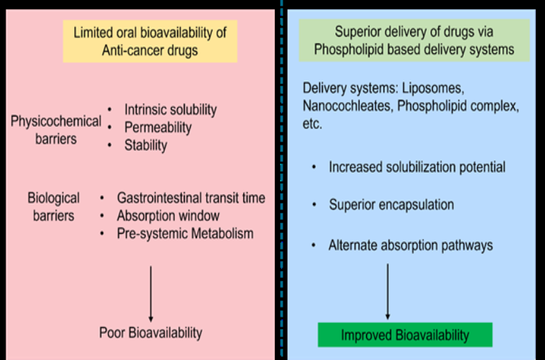 Figure 4: Superior delivery via phospholipid-based system.