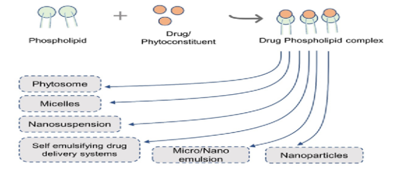 Figure 7: Drug-phospholipid complex loaded novel formulations