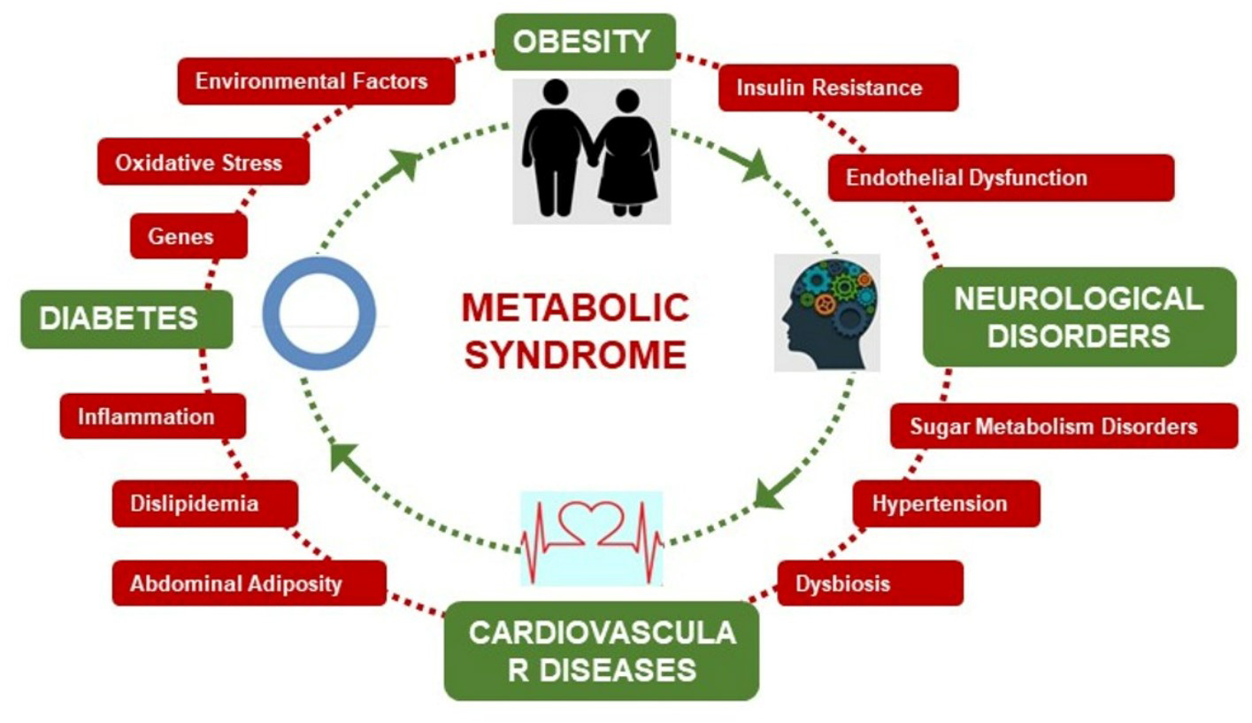 Figure 1: Metabolic Syndrome Causing Different Diseases.