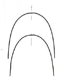 Figure 3: Ovoid Arch Form.