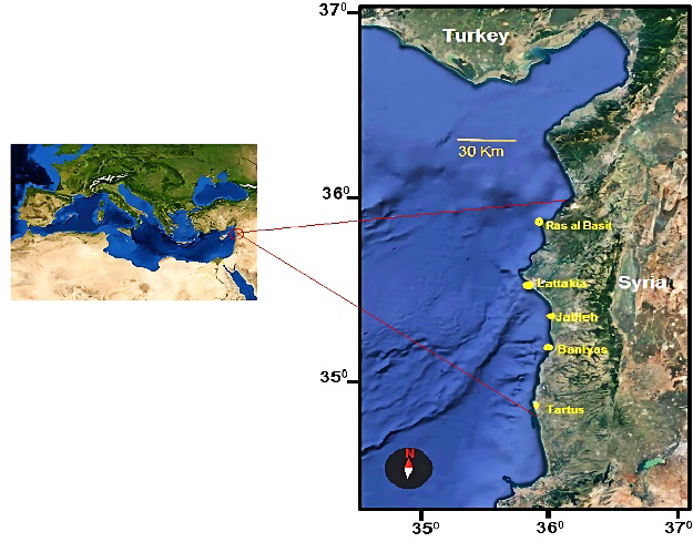 Figure 1: Syrian coast (Eastern Mediterranean Sea) (N: 36.6°; S: 35.5°; E: 35.7°; W: 35.6°).