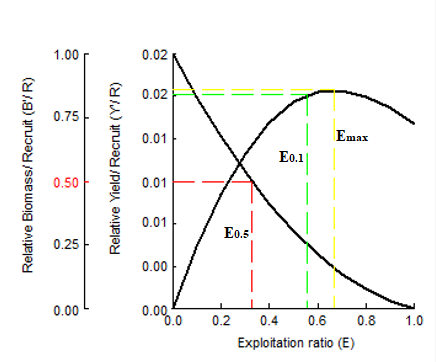 Figure 6: The maximum value of (Y’/R) was achieved at Emax= 0.668 y-1. The value of E0.1 for S. luridus was calculated as 0.557 y-1, while E0.5 was estimated to be 0.328 y-1 [24,25].