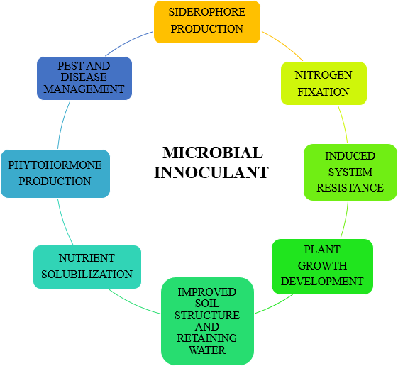Figure 1: Role of Microbial Inoculants/PGPRs.