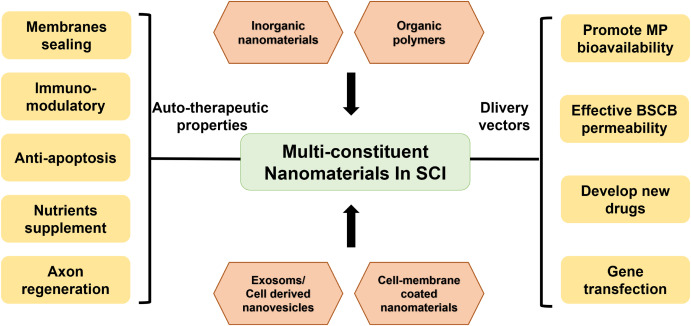 Figure 2: Schematic Diagram of the Role of Nanomaterials in SCI Treatment [2].